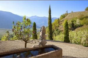 Brunnen am Pflanzer Hof