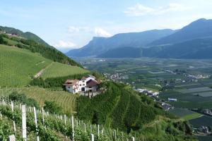 Pflanzer Hof Lage mit Blick ins Etschtal