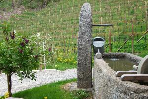 Brunnen am Pflanzer Hof