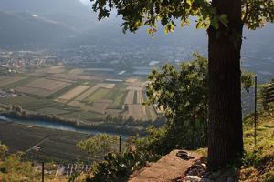 Vista dal maso Pflanzer Hof sulla conca di Merano