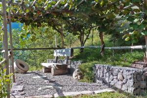 Pergola di kiwi al maso Pflanzer Hof