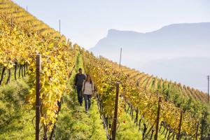 Escursione per le vigne del Pflanzer Hof a Postal