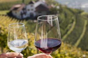 A coronamento della giornata, un buon bicchiere di vino