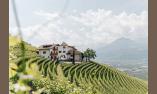 Der Pflanzer Hof in Burgstall bei Meran, Südtirol