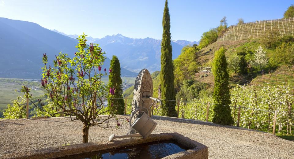 Brunnen am Pflanzerhof