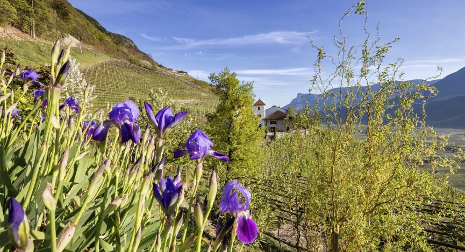 Vista dal Planzerhof