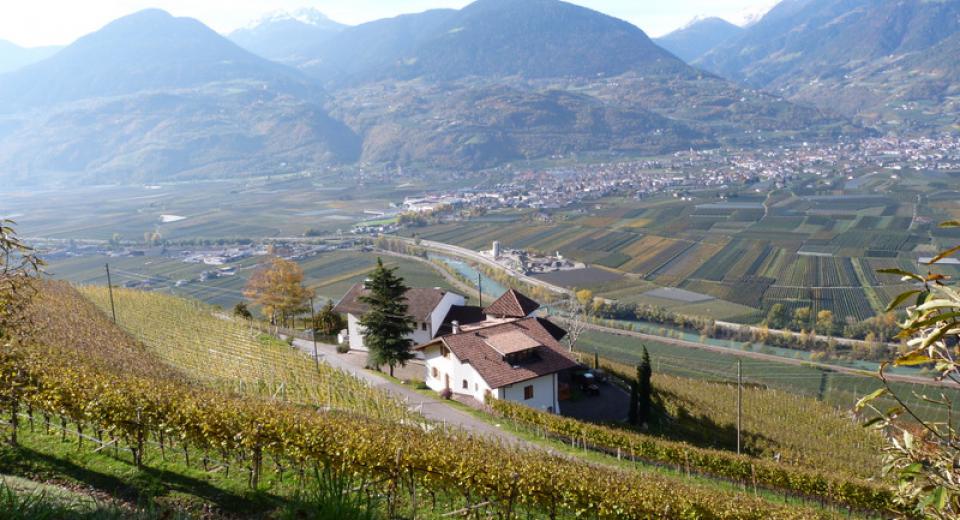 Pflanzer Hof - Lage am Sonnenhang von Burgstall, nahe der Kurstadt Meran