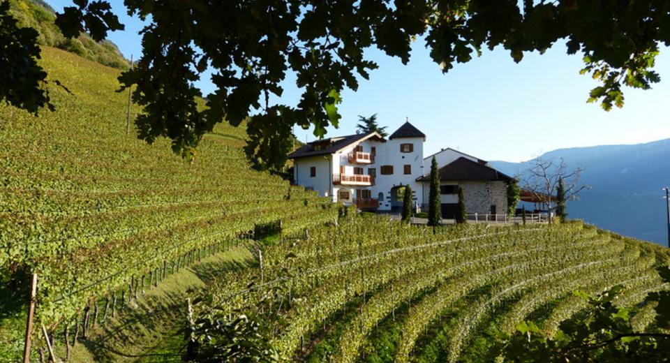 Pflanzer Hof inmitten von Weinbergen 