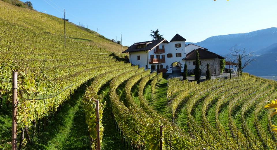 Pflanzer Hof in Burgstall bei Meran, Südtirol