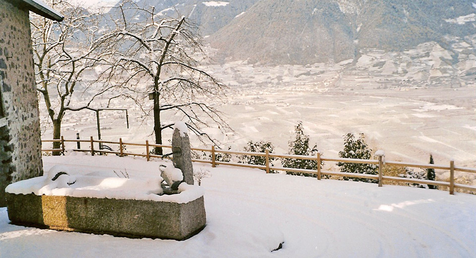 Brunnen am Pflanzerhof im Winter