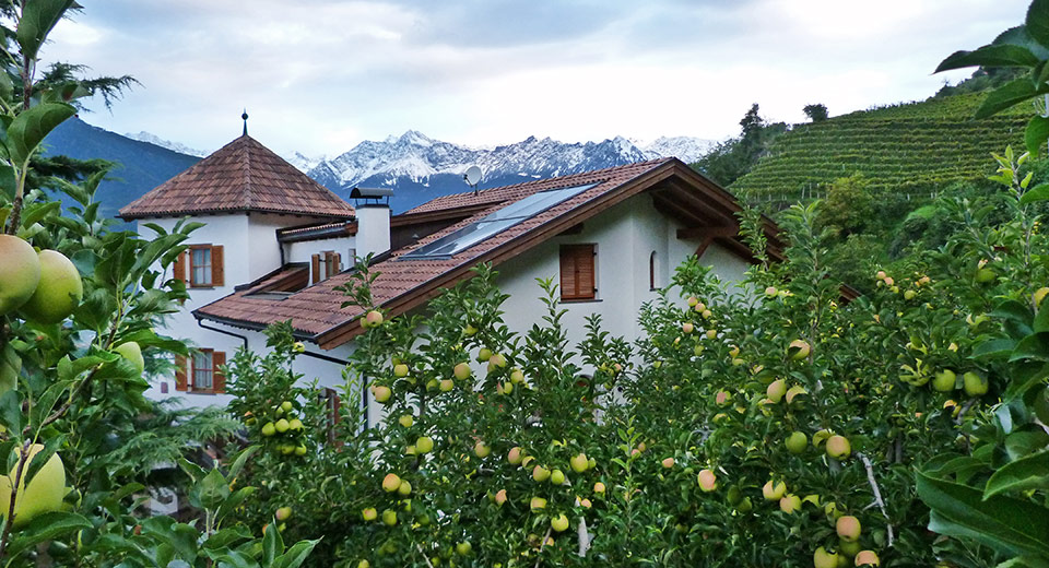 Maso frutticolo e vinicolo Pflanzer, Postal presso Merano 