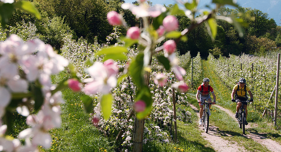 Un paradiso per amici della bicicletta!