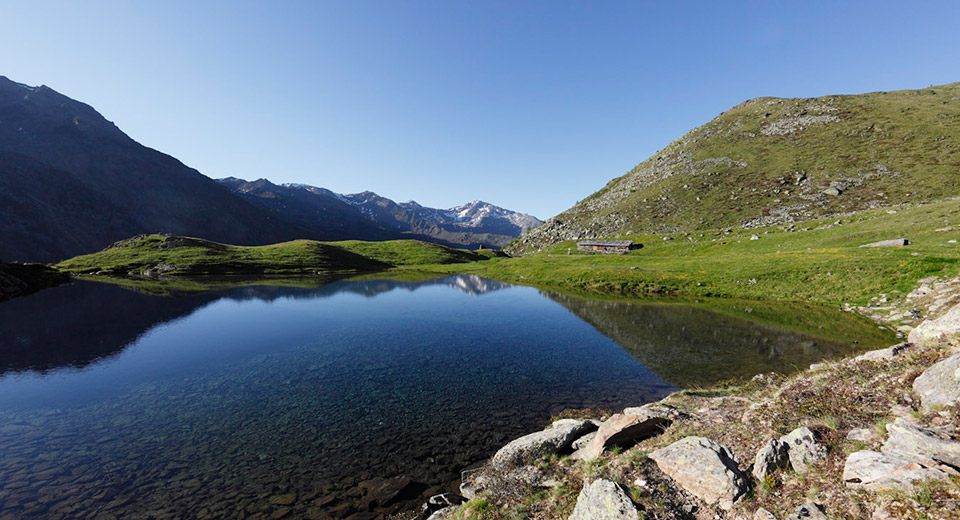 Sommerurlaub am Pflanzerhof umgeben von Weinbergen