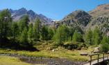 Wandern im Ultental