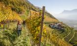 Passeggiata autunnale al maso Pflanzer Hof